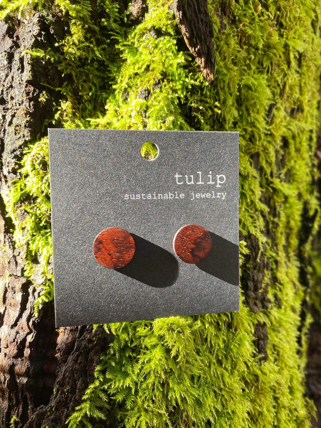 Repurposed cocobolo studs - silver